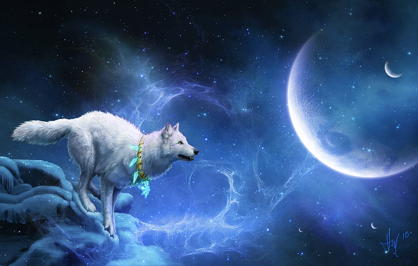 Wolf and Background, Fantasy Wolf HD wallpaper