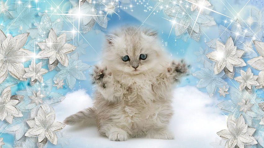 Gattino del gatto del bambino del paesaggio della natura della neve di inverno, gatto sveglio di inverno Sfondo HD