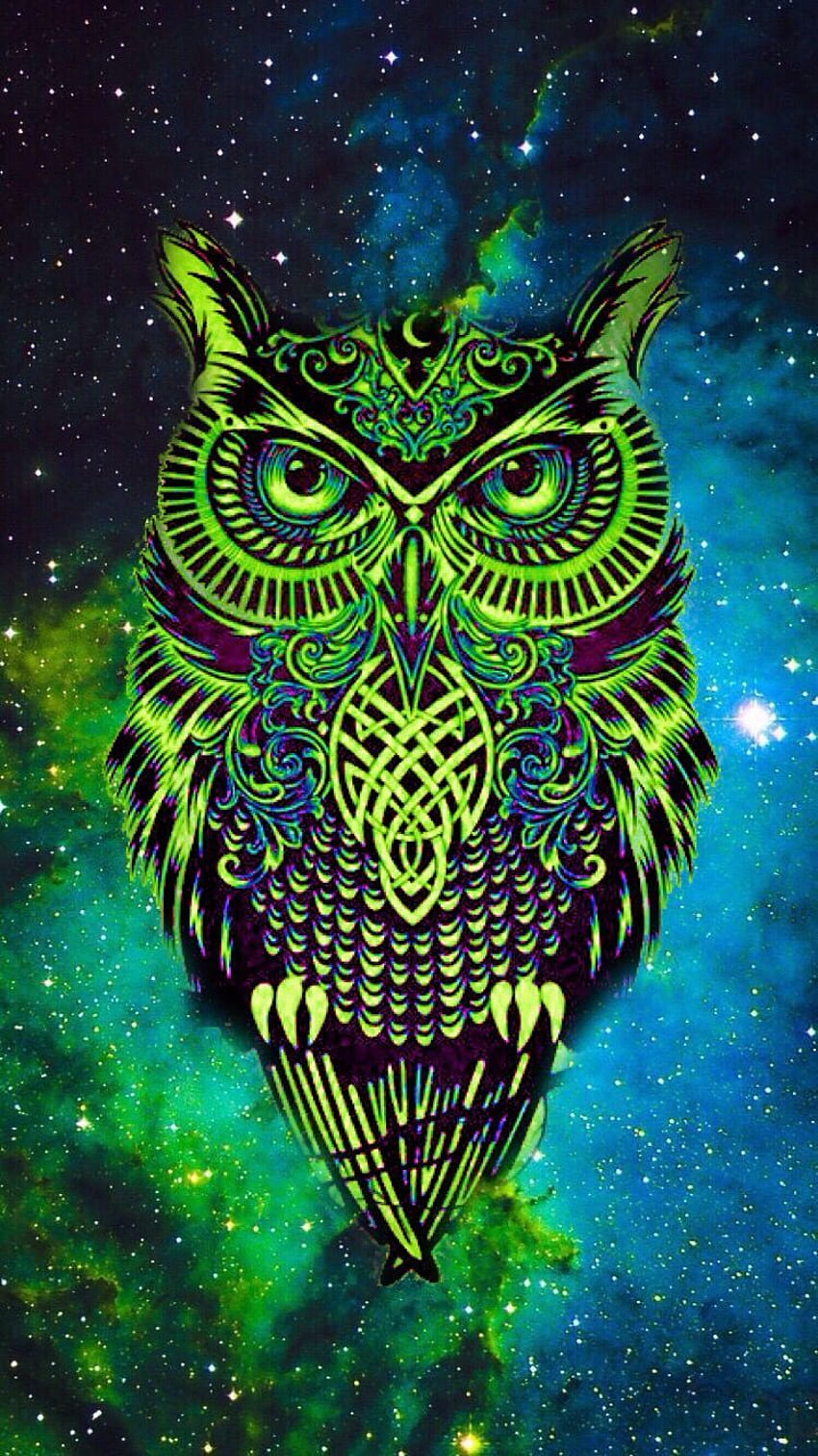 Owl artwork by Nikki Carmichael on Owls. Owl , Owl art HD phone wallpaper