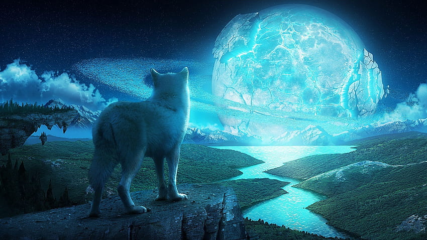 The mystical wolf in a fantasy world . Wolf , Wolf background, Fantasy wolf, Legendary Wolf HD wallpaper