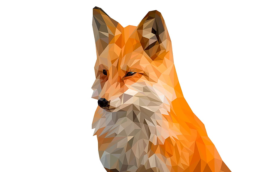 Fox, muzzle, digital art, low poly HD wallpaper