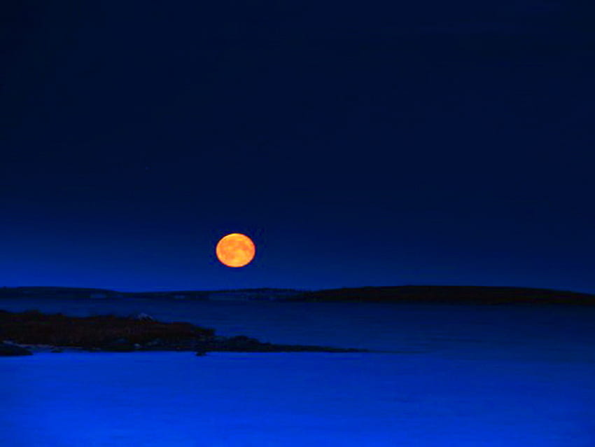 Harvest moon sky, night, blue, hills, sky, gold, harvest moon, ocean HD wallpaper