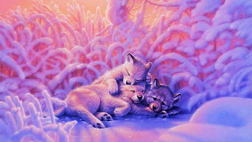 Cute Wolfs, Cute Fox and Wolf HD wallpaper