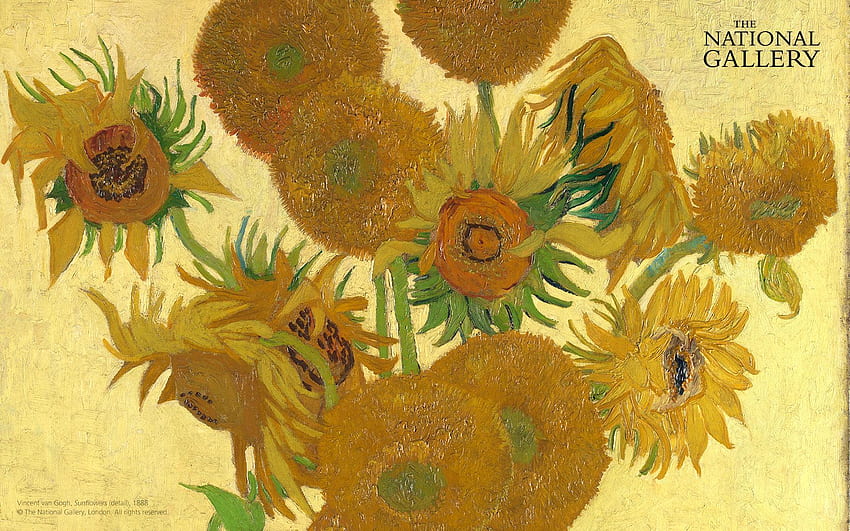 of the month. Paintings. The National Gallery, London, Vincent Van Gogh Sunflower HD wallpaper