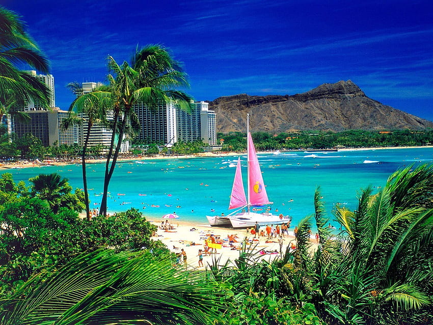 Waikiki Oahu Hawaii Normal - (Yüksek Çözünürlük). %100 Kalite. En iyi balayı yerleri, En iyi tatil yerleri, Oahu seyahati HD duvar kağıdı