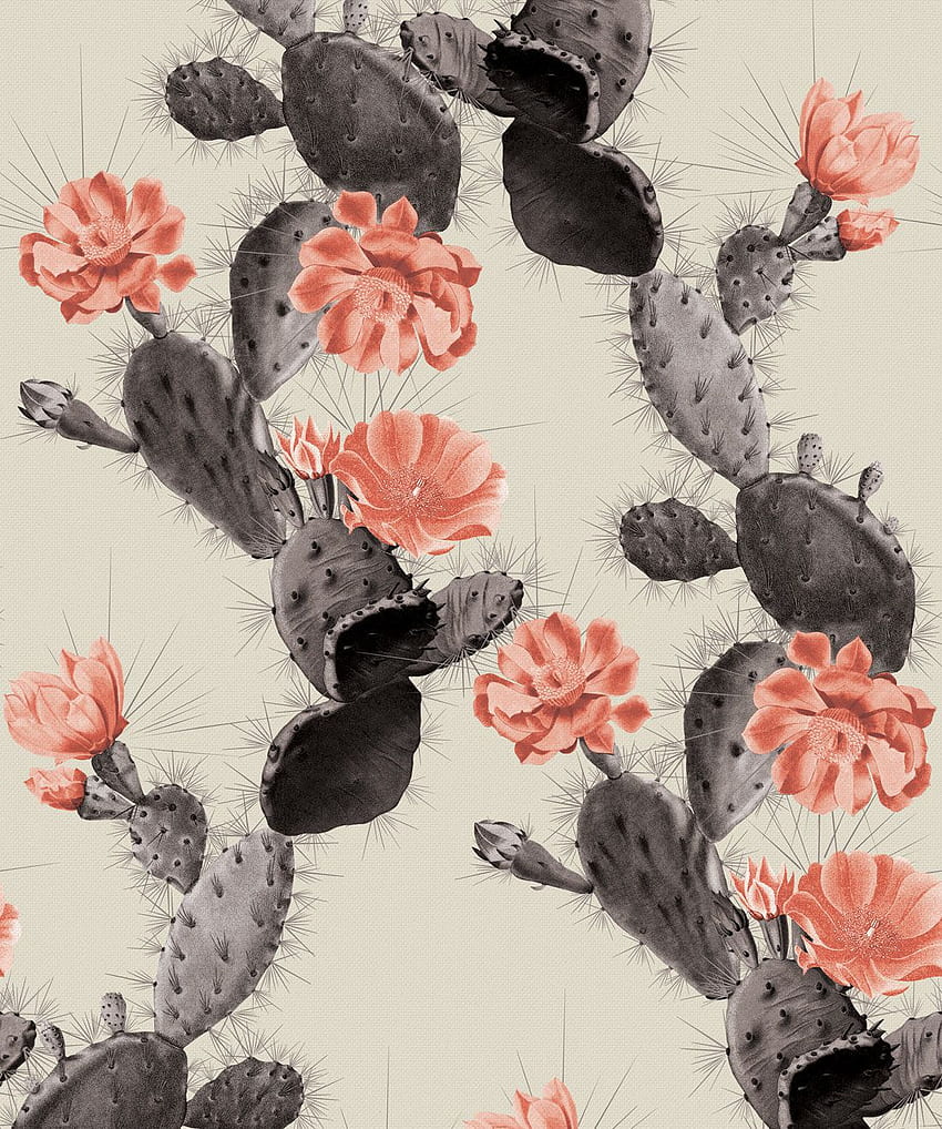Kaktus Memikat • Desain Kaktus Cerah Berani • Milton & King UK, Kaktus Keren wallpaper ponsel HD