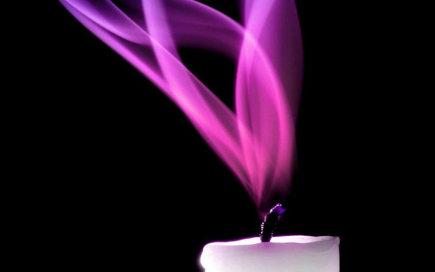 Candle Flame, Candle, Flame, Lavender, Purple HD wallpaper