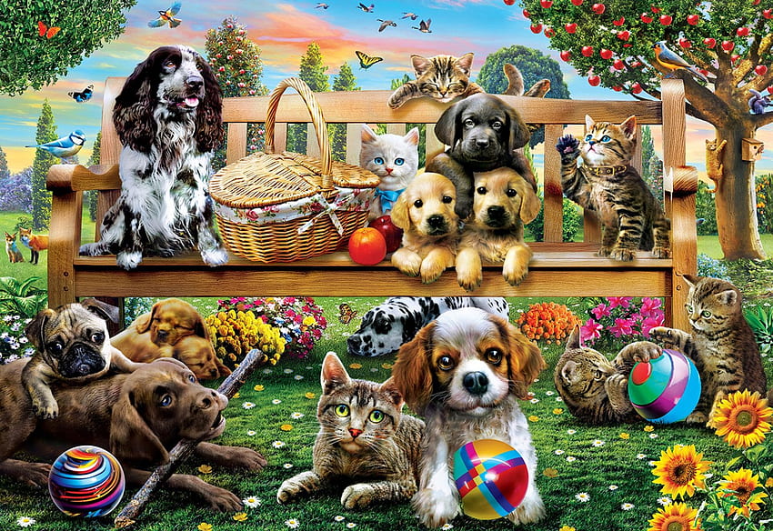 Среща в парка, кученца, дървета, градина, кучета, пейка, коте, изкуство, кошница, цифрово, ябълки, цветя HD тапет