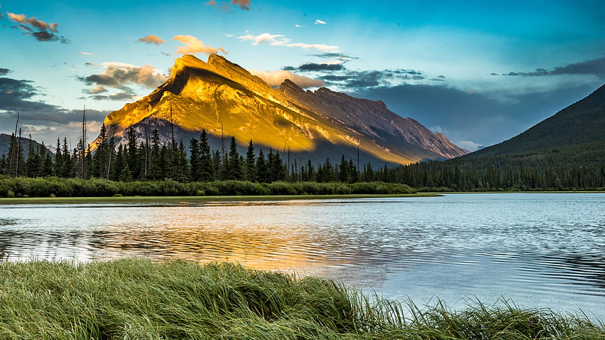 Taman Nasional Banff, Pohon, Sungai, Kanada, Gunung, Pemandangan Wallpaper HD