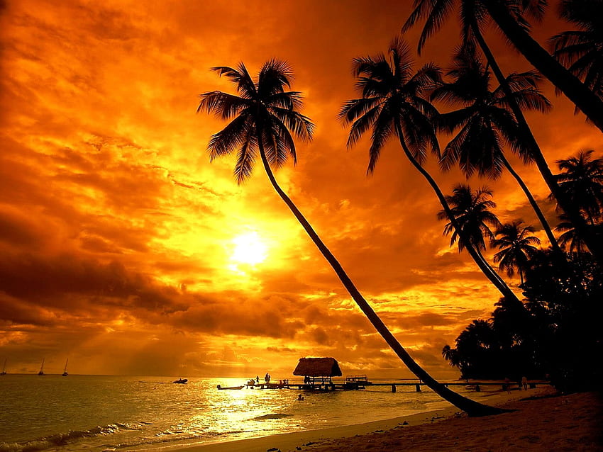 All Inclusive курорти : All Inclusive курорти Four Seasons, Bora Bora Sunset HD тапет