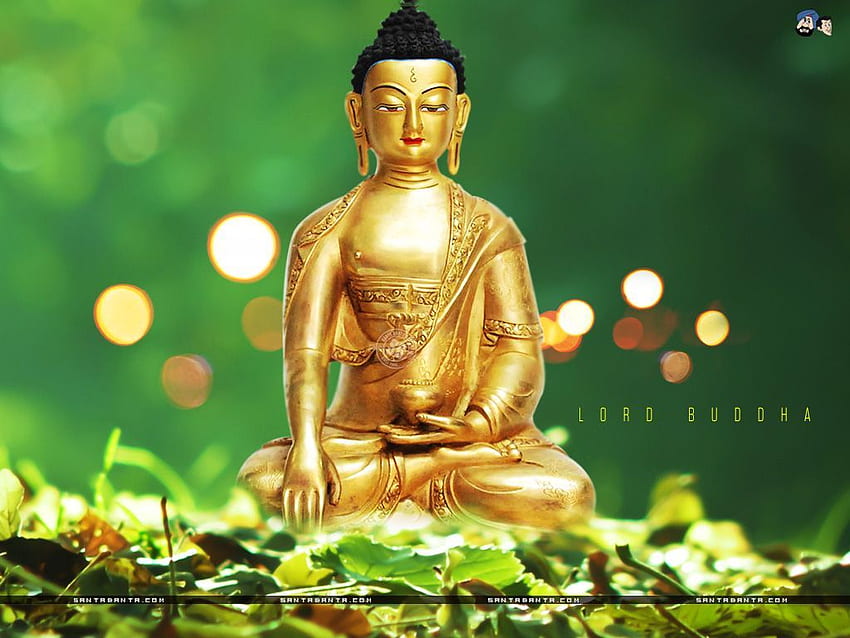 Lord Buddha . Buddha, Lord buddha , Green Buddha HD wallpaper