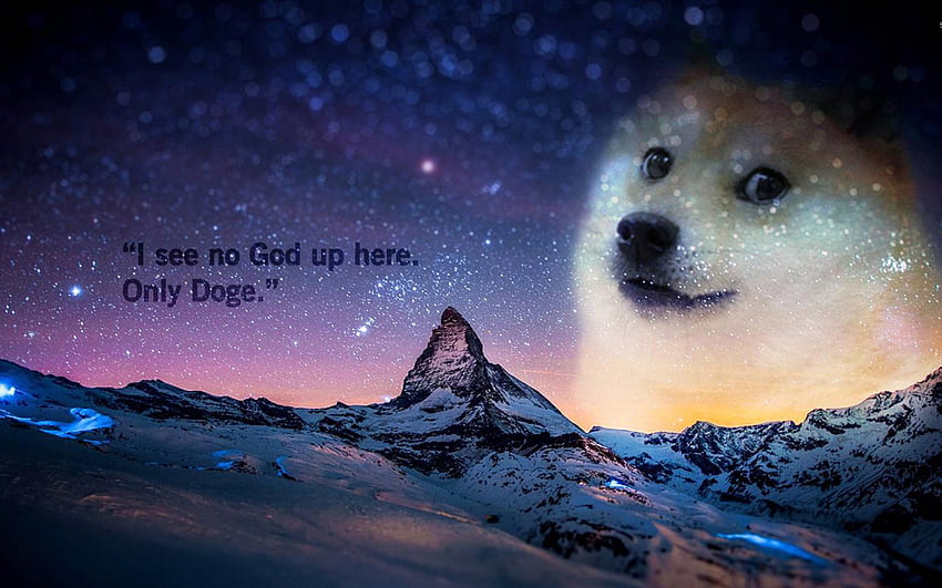 Doge Meme 27299 [], Mobil ve Tabletiniz için. Superb'i keşfedin. Super , Superb , Superb, Doggo Meme HD duvar kağıdı