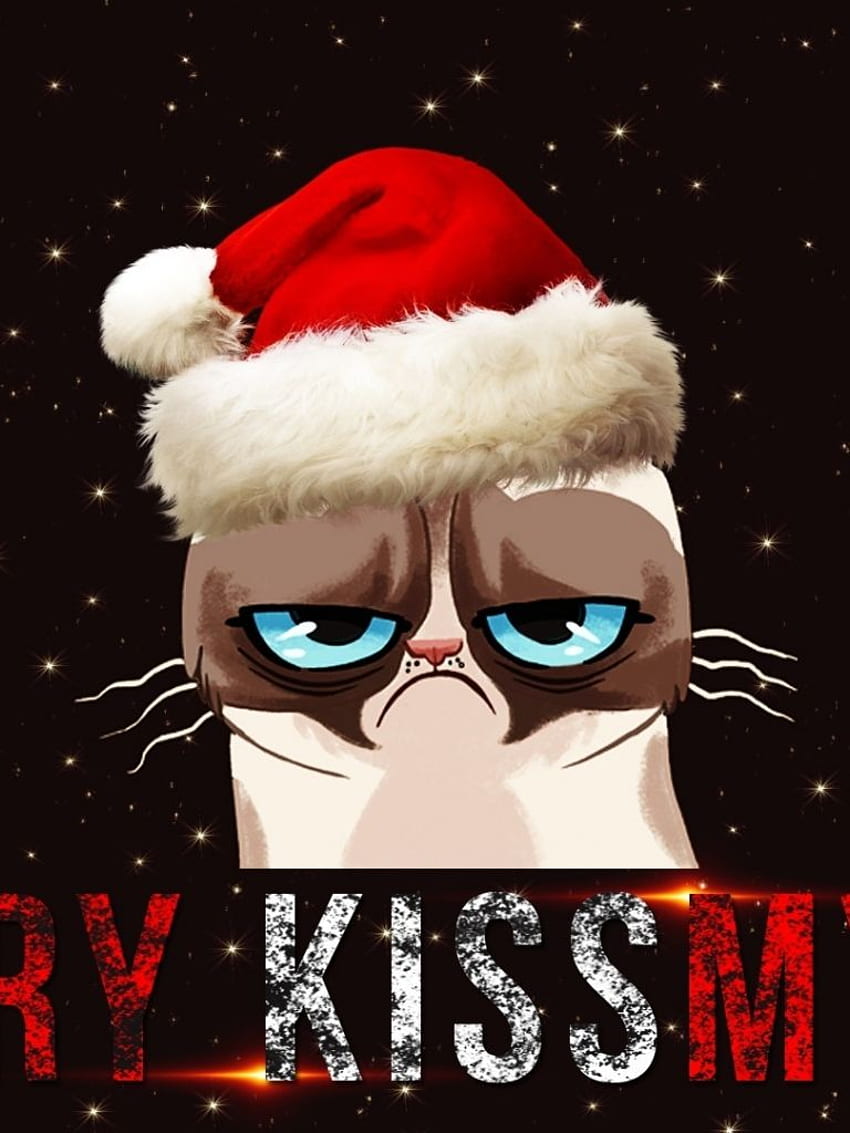 Grumpy Christmas Meme 26213 [] untuk , Ponsel & Tablet Anda. Jelajahi Natal Kucing Pemarah. Kucing Pemarah untuk Komputer, Kucing Pemarah wallpaper ponsel HD