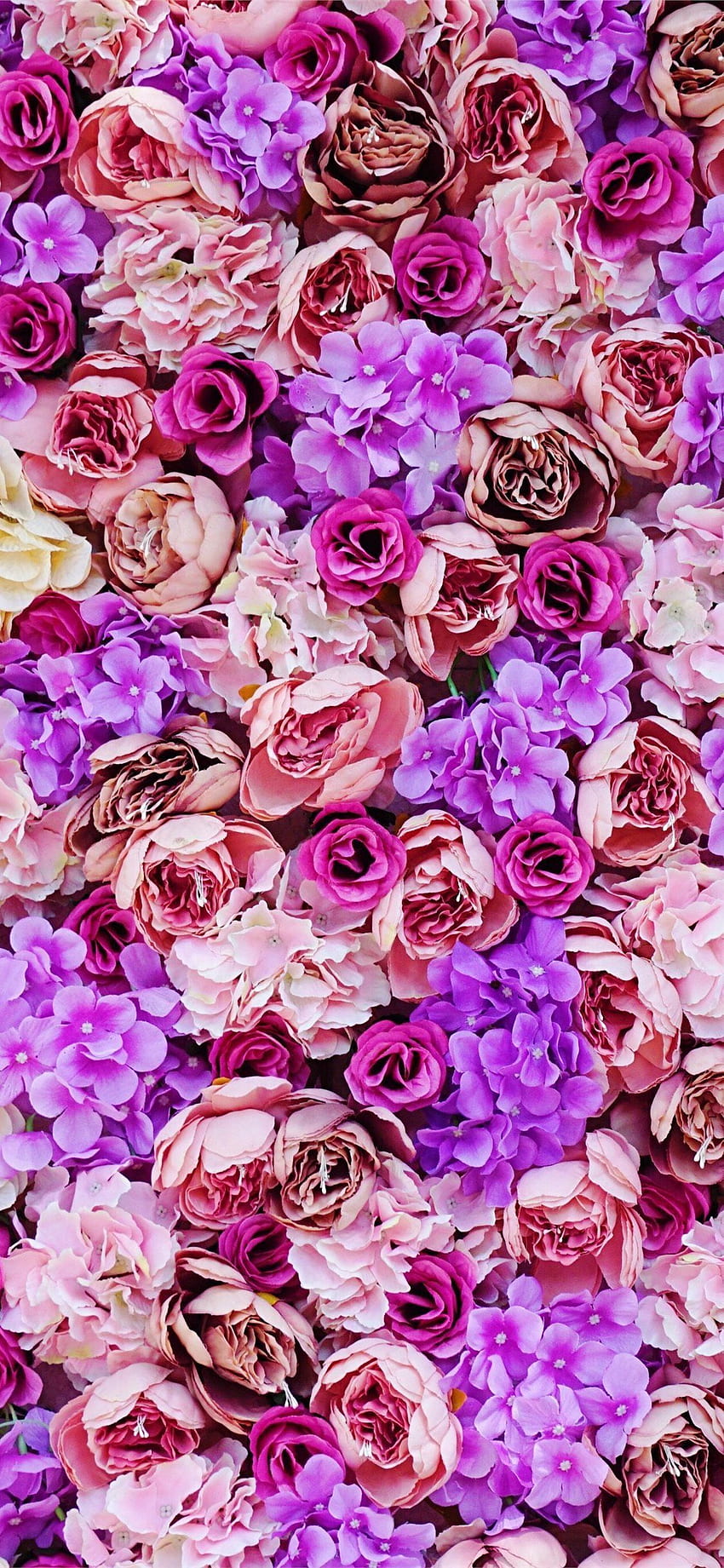 Cute Simple iPhone 11 (Page 1), Simple Purple Flower HD phone wallpaper