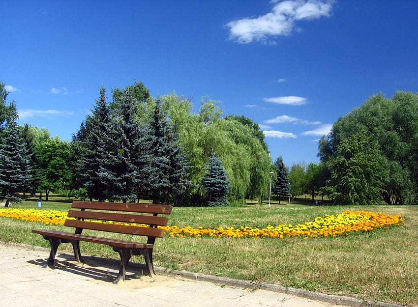 Romania, Bucarest, Parco, blu, banca, albero, parco, estate, Romania, fiore, giallo, cielo, Bucarest, nuvola Sfondo HD
