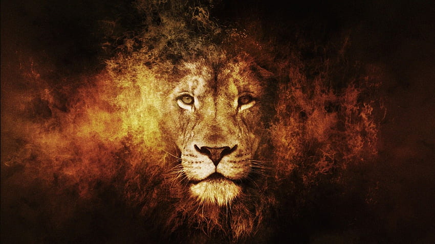 Fire king artwork lion . All Things Leo..ROAR HD wallpaper