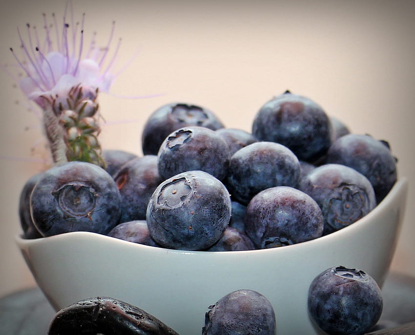Food, Bilberries, Berries, Bowl, Ripe HD wallpaper