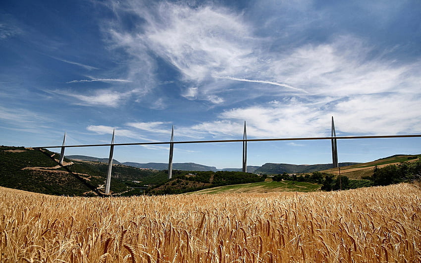 Natura, pszenica, pole, Francja, most, żyto, rolnictwo Tapeta HD
