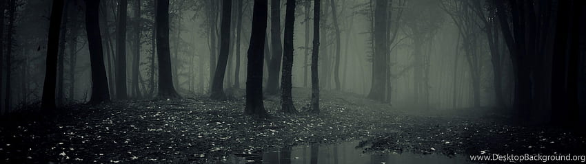 暗い森の背景、森のデュアル スクリーン 高画質の壁紙
