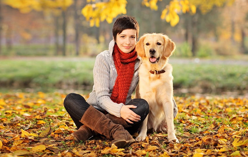 Dziewczyna i pies - jesień, słodki, psy, szczenięta, ładny, piękny, figlarny, figlarny pies, szczeniak, psia twarz, ładny, zwierzęta, twarz, śliczny Tapeta HD