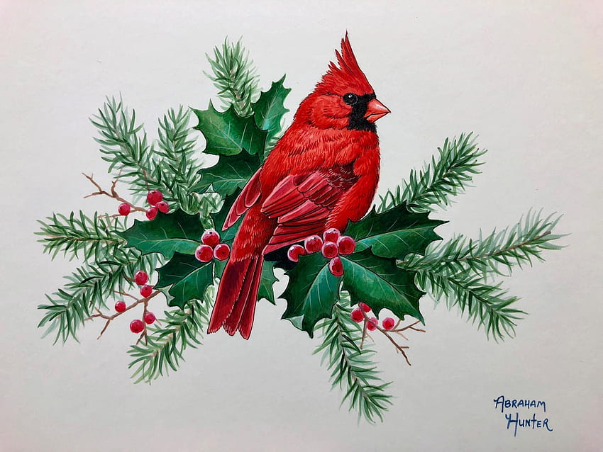 Holiday Cardinal, artwork, painting, bird, christmas, songbird, twigs HD wallpaper