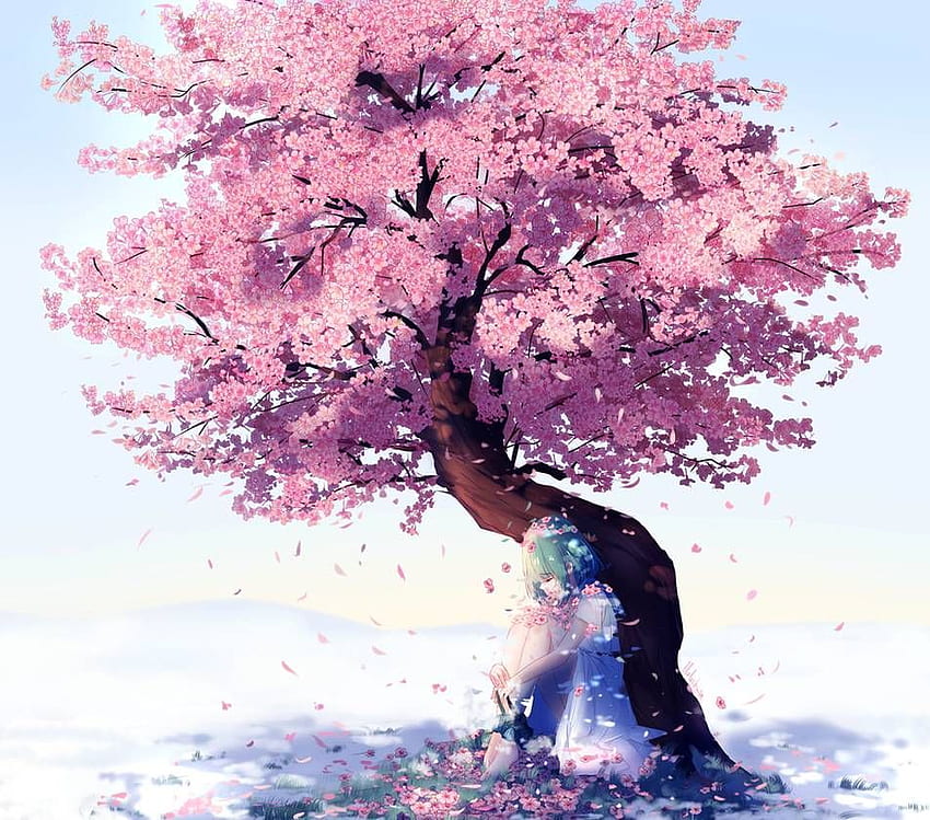 桜の木の下で、Sakura Tree Anime 高画質の壁紙