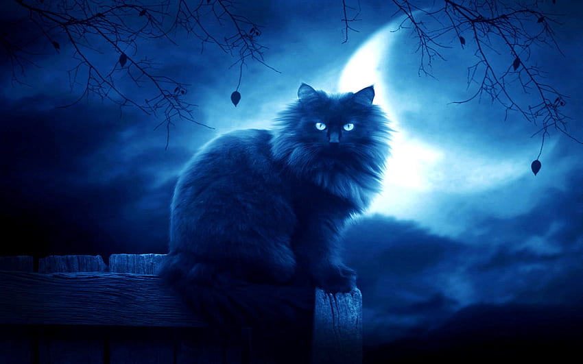 Fantasy, Night, Moon, Silhouette, Cat, Outlines HD wallpaper