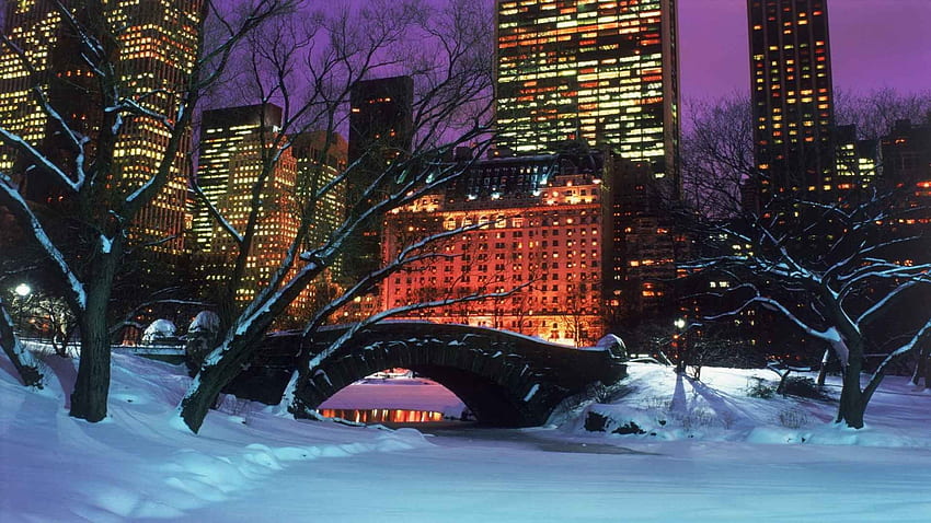 Winter New York City Central Park . . 216694. UP, Central Park Christmas HD wallpaper