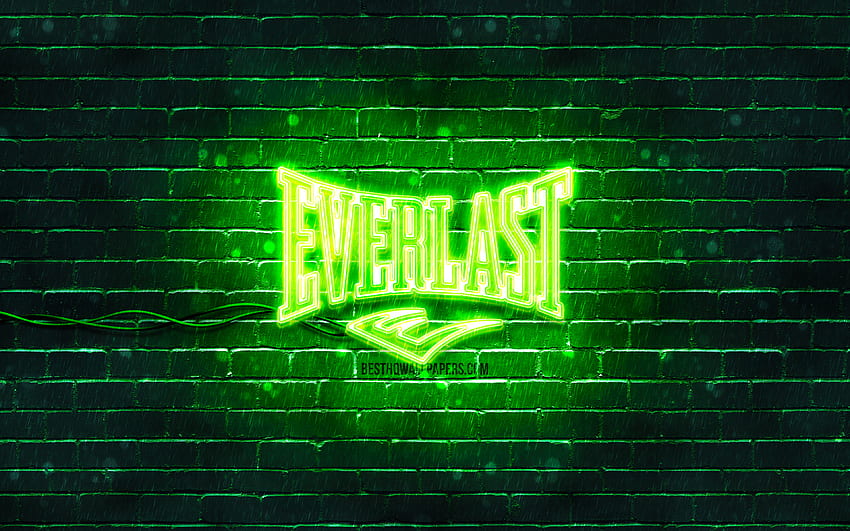 Everlast green logo, , green brickwall, Everlast logo, brands, Everlast neon logo, Everlast HD wallpaper