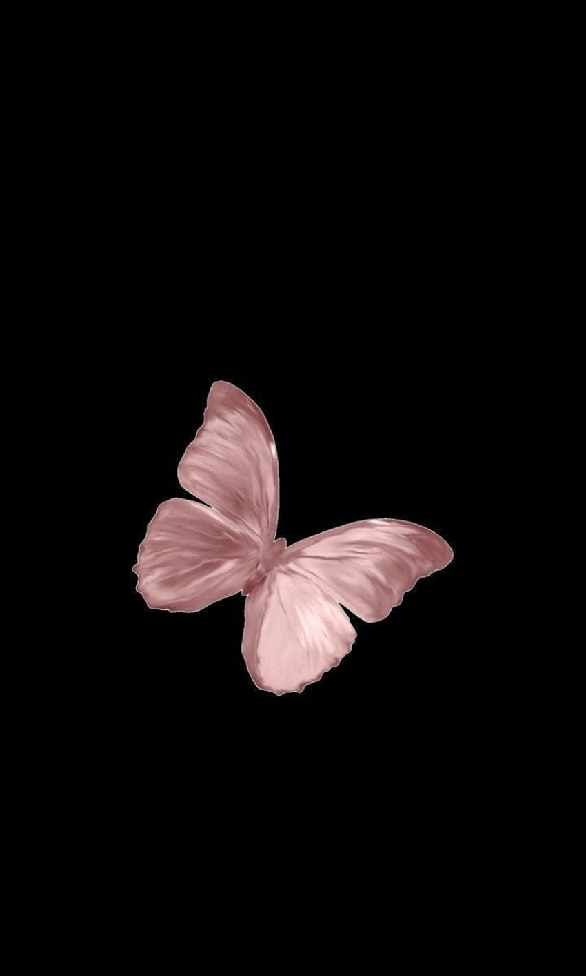 Czarny, biały, motyl, ćmy i motyle, różowy, owad - tel Tapeta na telefon HD