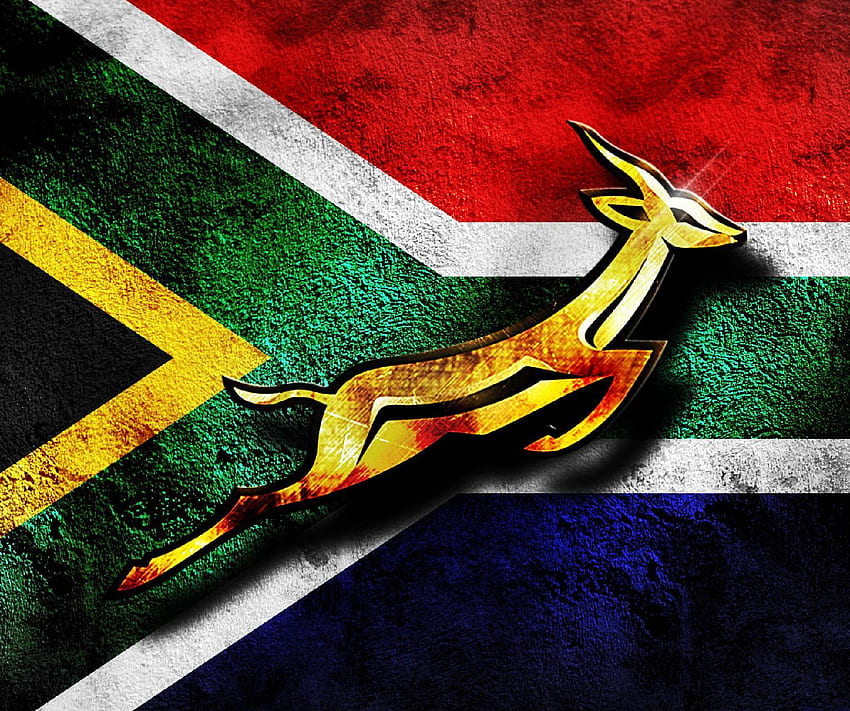 Springboks, Rugby de Sudáfrica fondo de pantalla