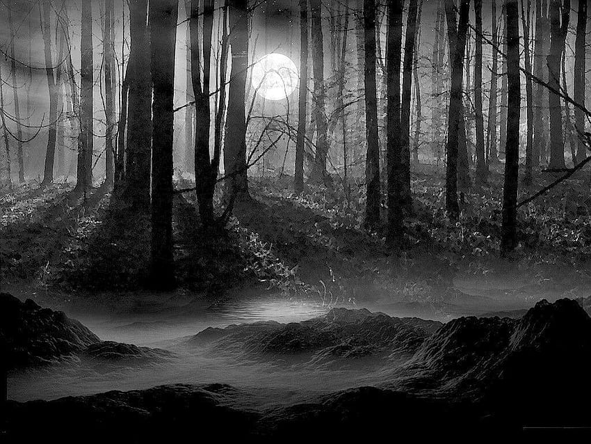 Anime Dark Forest HD wallpaper