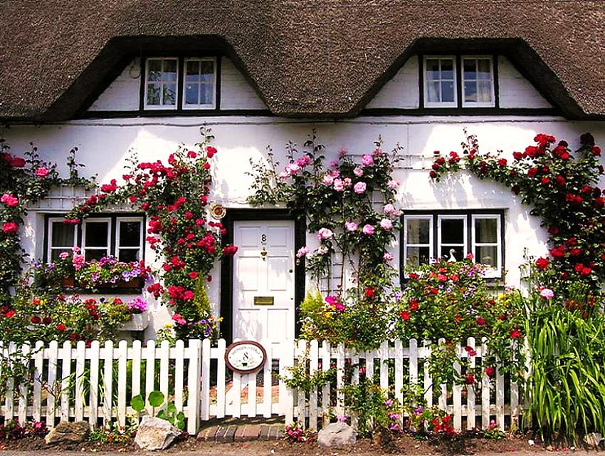 Dressed up in England, roses, picket fence, white and black, shrubs, pink, english house, thatched roof, red, vines, flowers HD wallpaper