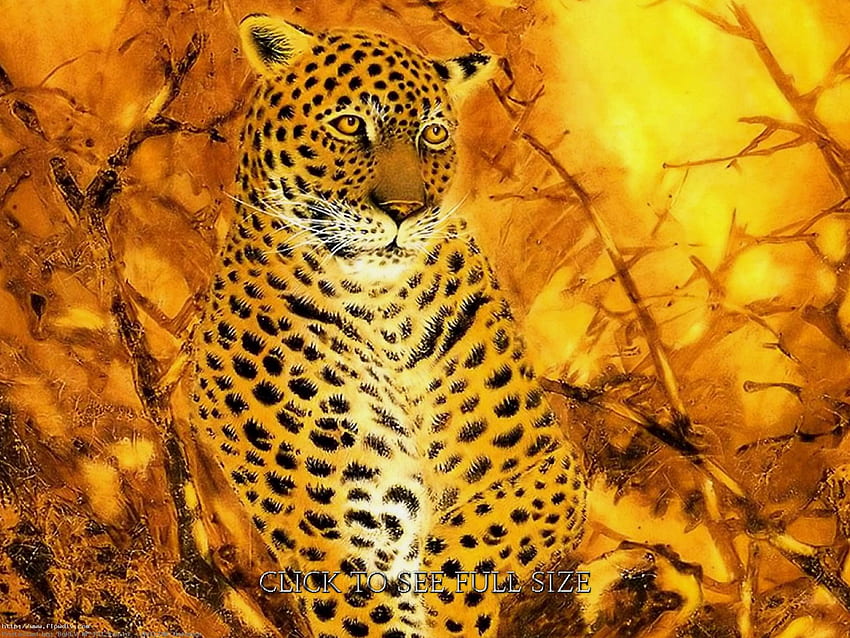 Fantasy Art Animal Leopard HD wallpaper
