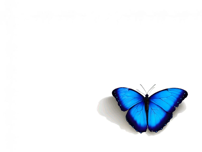 citações sobre borboletas azuis, Butterfly Emoji papel de parede HD