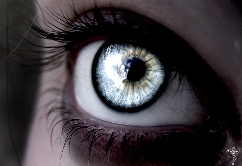 Eye and Background, Cool Eye HD wallpaper | Pxfuel