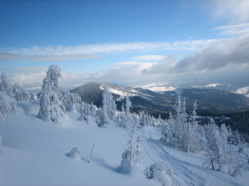 Winter, Nature, Trees, Snow, Ukraine, Carpathians, Mount Stig, Mountain Stigma, Svydovets, Svidovets, Rakhiv District, Rakhov District HD wallpaper