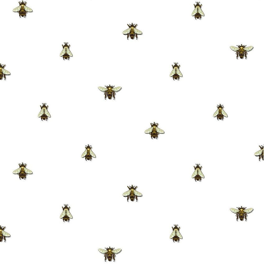Timorous Beasties Wild Honey Bee Spot . Repéré Fond d'écran de téléphone HD