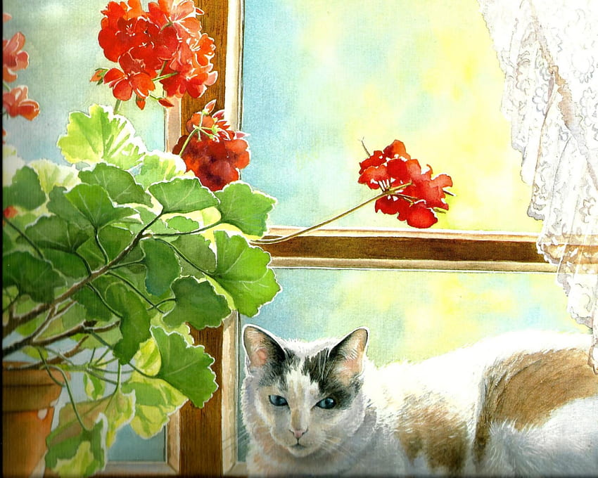 Котка от калико с цветя, прозорец, калико, сладка, котка, цветя, лапи HD тапет