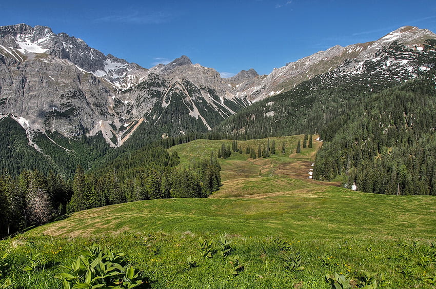 Landschaft, Natur, Bäume, Gras, Berge, Hügel HD-Hintergrundbild