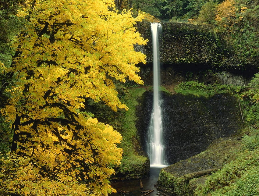 водопад през есента в гората, есен, водопад, гора HD тапет
