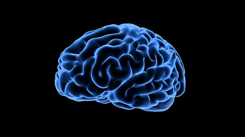 ロイヤリティ医療の人間の脳の - 脳 (青)360 度ビュー - YouTube 高画質の壁紙