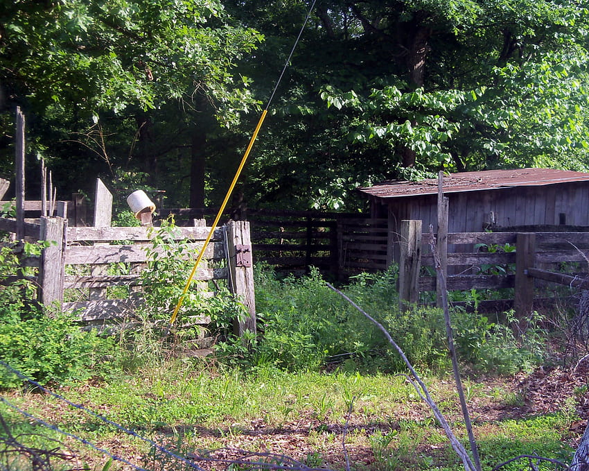 Corral abbandonato, rurale, Tennessee, architettura, fattoria Sfondo HD