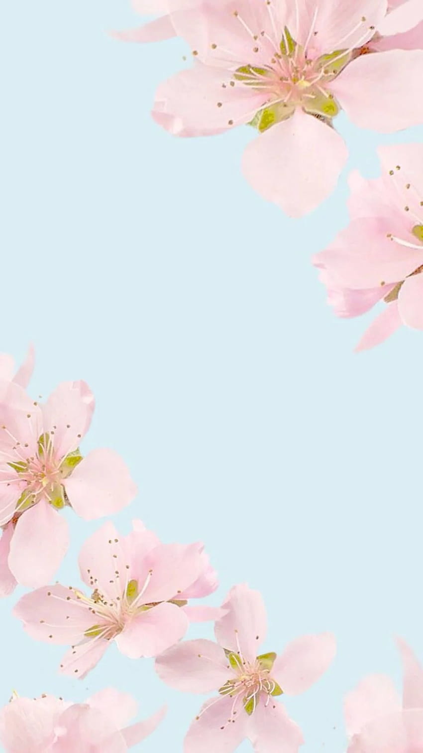 Tumblr hübscher Hintergrund, iPhone mit Blumenmuster - rosa Blumen-einfacher Hintergrund - u. Hintergrund, schönes Blumenmuster HD-Handy-Hintergrundbild