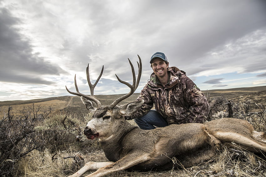 Mule Deer Hunting. Rocky Mountain Hunting HD wallpaper