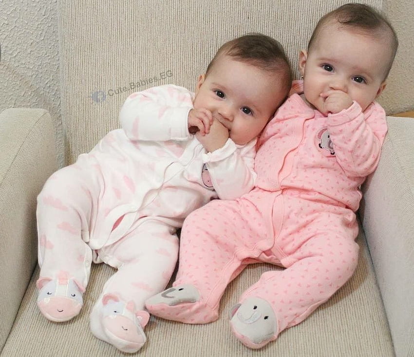 ขสมก. แฝดหญิง แฝดทารกน่ารัก ทารกน่ารัก แฝดทารก วอลล์เปเปอร์ HD