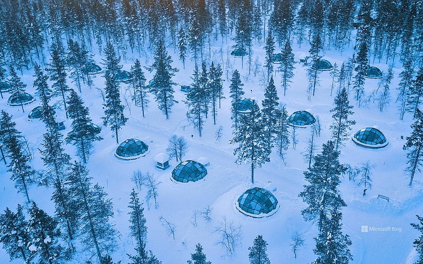 Szklane igloo w Kakslauttanen Arctic Resort w Saariselkä, Finlandia - Bing, Arctic Forest Tapeta HD