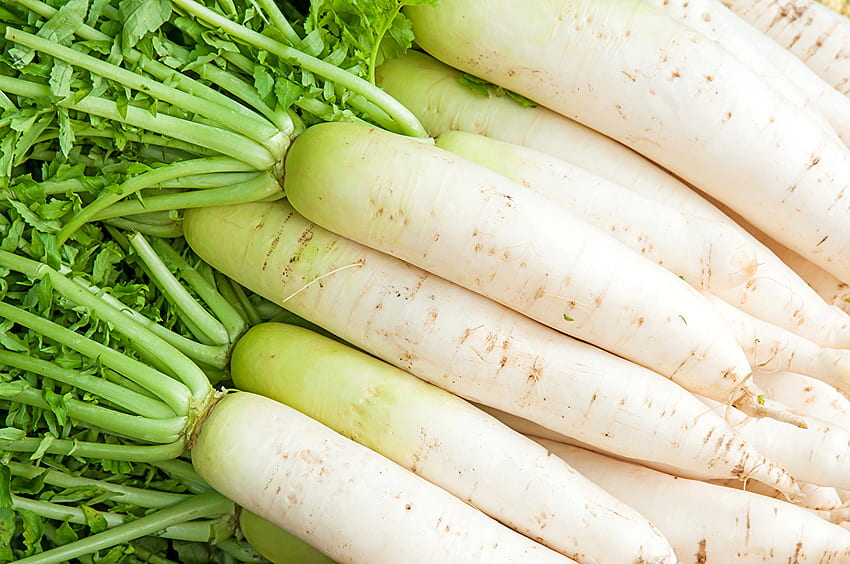 White Radishes Food Vegetables HD wallpaper