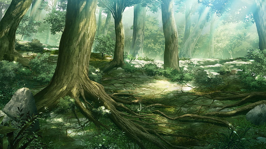 Fundo de floresta de anime, desenho de floresta papel de parede HD