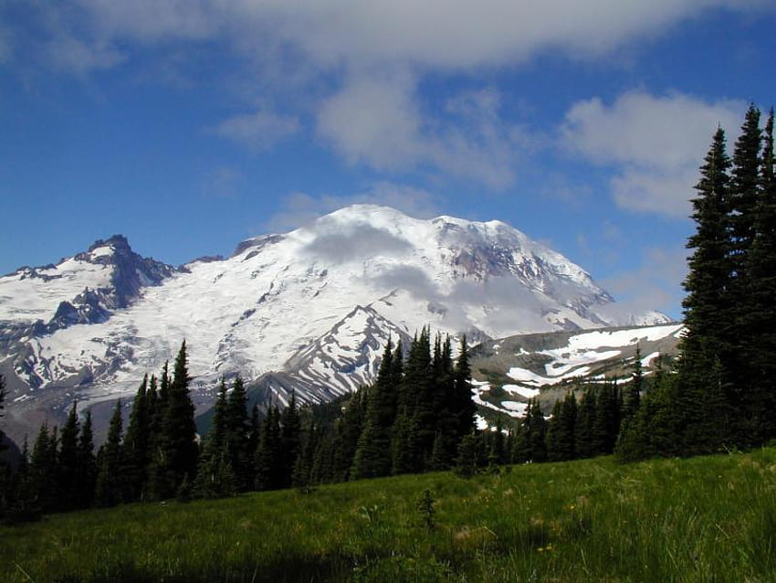 Snow Top Mountain, trees, sky, snow, mountain HD wallpaper | Pxfuel